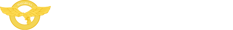 株式会社はやぶさ・ホールディングス